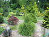 Arboretum_de_Concord_14.jpg (90229 bytes)