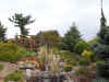 Bickelhaupt.Arboretum.1.jpg (42825 bytes)